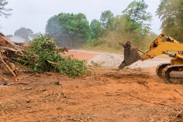 Ground Clearing in Pleasanton