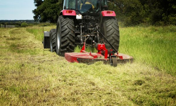 Brush Clearing Service in Pleasanton