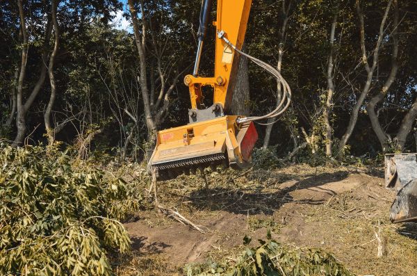 Brush Removal Service in Pleasanton
