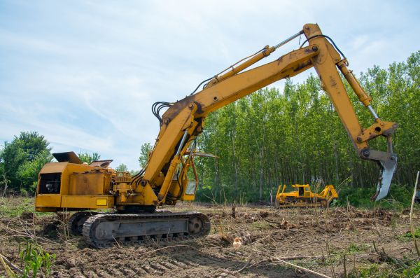Cost of Farm Clearing in Pleasanton
