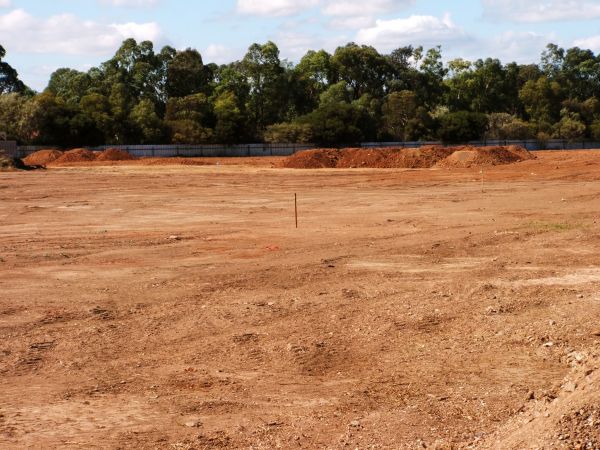 Cost of Field Clearing in Pleasanton
