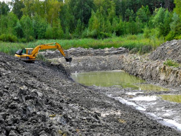 Cost of Lake Lot Clearing in Pleasanton