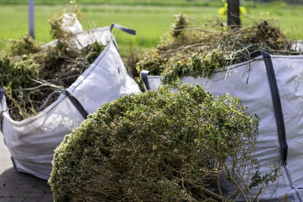 Bushes Clearing in Pleasanton