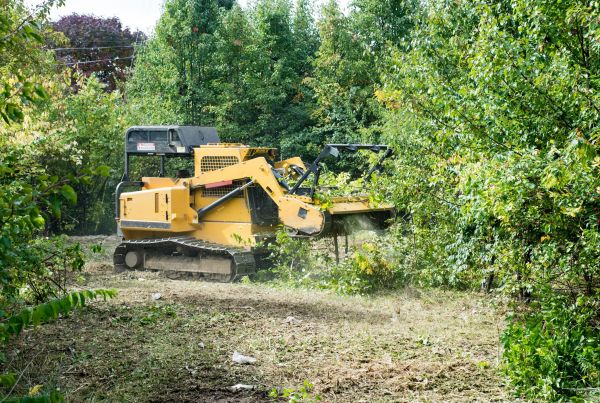 Cost of Pathway Clearing in Pleasanton