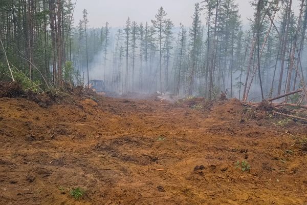 Cost of Hill Clearing in Pleasanton