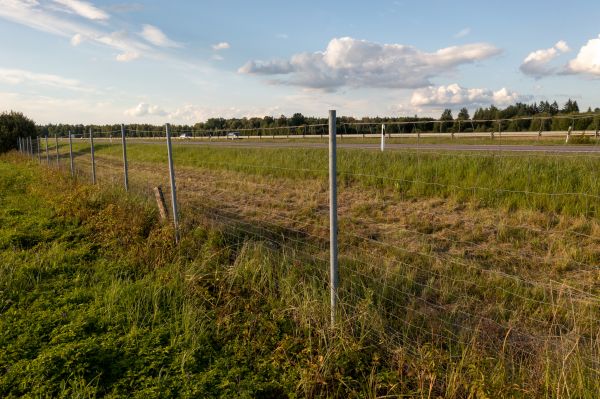 Cost of Property Line Clearing in Pleasanton