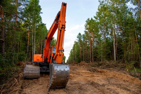 Cost of Backhoe Land Clearing in Pleasanton