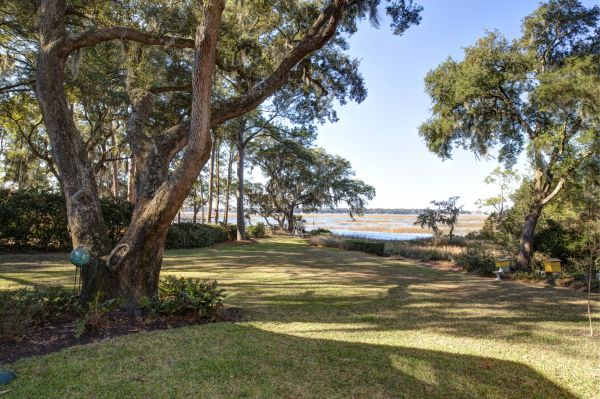 Cost of Lakefront Property Clearing in Pleasanton