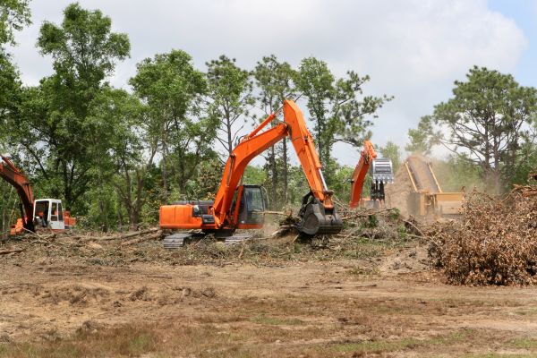 Cost of Commercial Lot Clearing in Pleasanton
