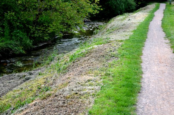 Cost of Trail Cutting in Pleasanton